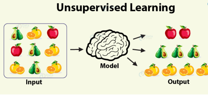 unsupervised learning